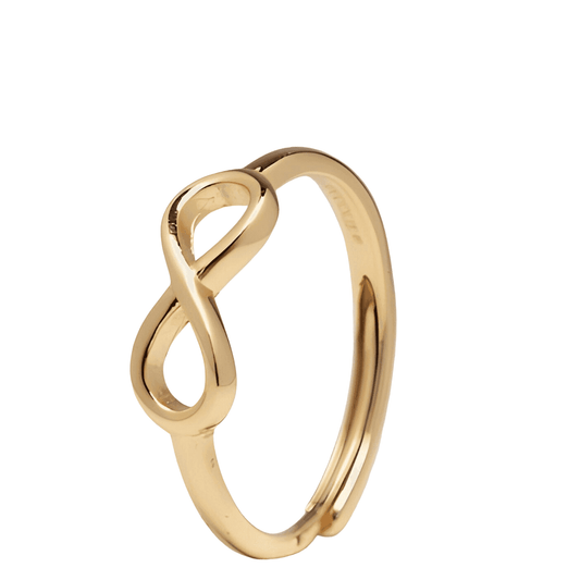 Autism infinity ring: 18k gold plated on sterling silver adjustable - Christina